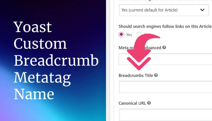 Find Yoast Custom Breadcrumb Custom Field Name